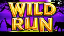 Wild Run (Дикий прогон)