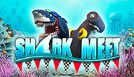 Shark Meet (Встреча акул)